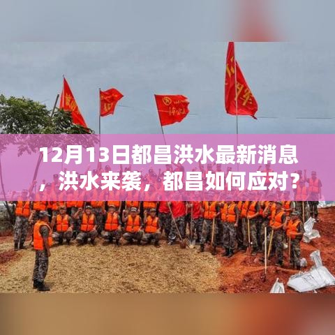 善始善终 第4页