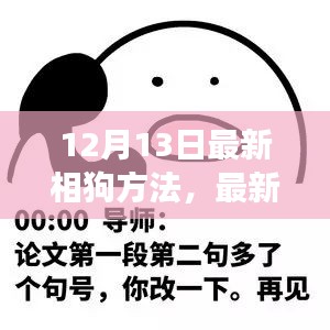 揭秘最新相狗方法，科学解读狗狗性格与行为的秘密（12月13日更新）