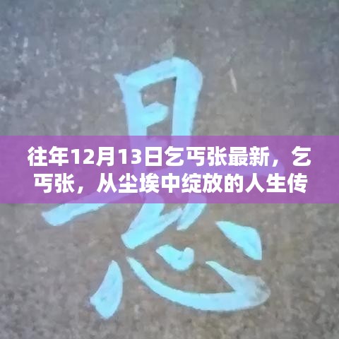 乞丐张，尘埃中的人生传奇，逆境中的励志故事