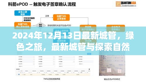 绿色城管之旅，探索自然美景的奇妙之旅