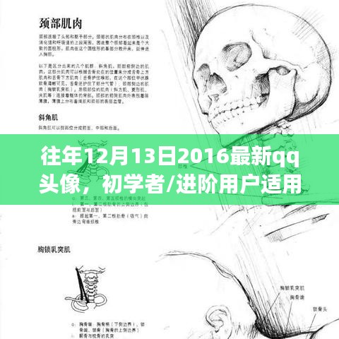 往年12月13日QQ头像制作指南，初学者到进阶用户的必备教程