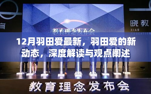 羽田爱最新动态，深度解读与观点阐述