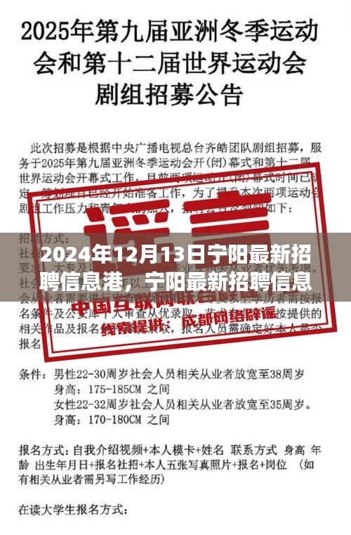 2024年12月13日宁阳最新招聘信息港，职业发展的脉搏与影响