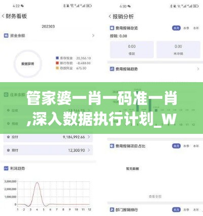 管家婆一肖一码准一肖,深入数据执行计划_W9.271