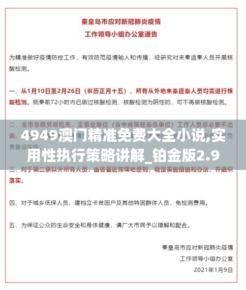 4949澳门精准免费大全小说,实用性执行策略讲解_铂金版2.943