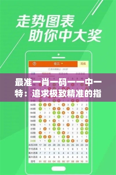 最准一肖一码一一中一特：追求极致精准的指南