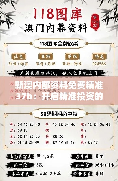新澳内部资料免费精准37b：开启精准投资的新纪元