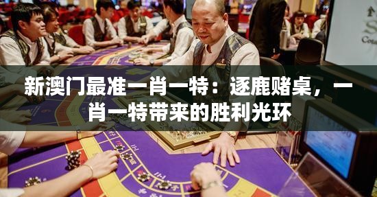 新澳门最准一肖一特：逐鹿赌桌，一肖一特带来的胜利光环