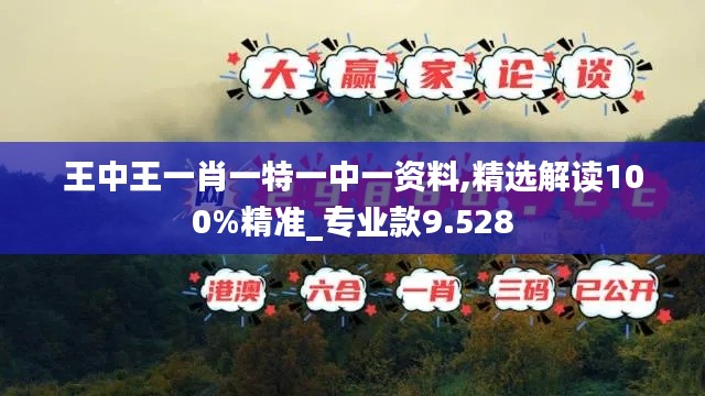 王中王一肖一特一中一资料,精选解读100%精准_专业款9.528