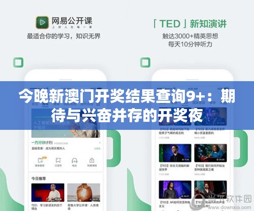 今晚新澳门开奖结果查询9+：期待与兴奋并存的开奖夜