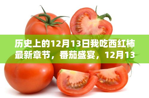 番茄盛宴，最新章节与温馨记忆中的历史12月13日