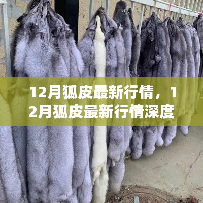 12月狐皮最新行情深度解析与评测