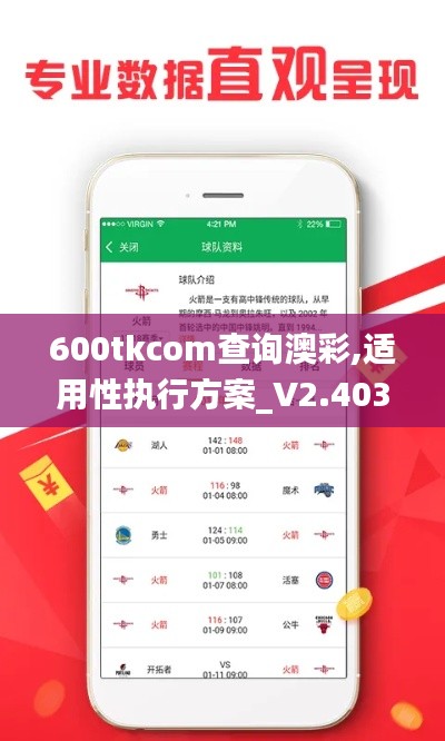 600tkcom查询澳彩,适用性执行方案_V2.403