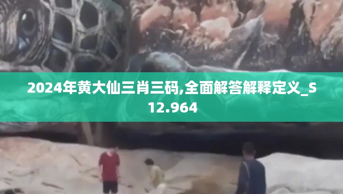 2024年黄大仙三肖三码,全面解答解释定义_S12.964