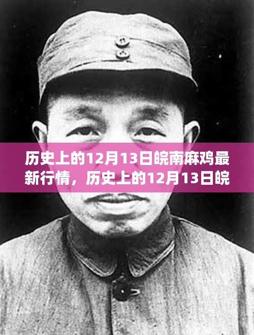 历史上的12月13日皖南麻鸡市场深度解析，最新行情与走势展望