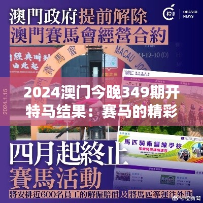 2024澳门今晚349期开特马结果：赛马的精彩与背后的团队努力