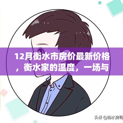 衡水最新房价动态，家的温暖与日常之旅