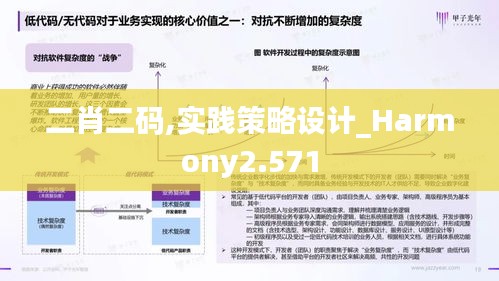 二肖二码,实践策略设计_Harmony2.571