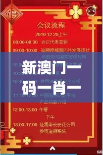 新澳门一码一肖一特一中2024高考,确保成语解析_7DM12.394