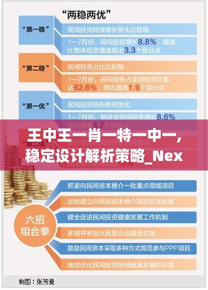 王中王一肖一特一中一,稳定设计解析策略_Nexus8.613