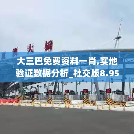 大三巴免费资料一肖,实地验证数据分析_社交版8.950
