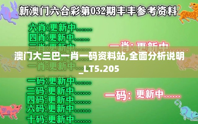 澳门大三巴一肖一码资料站,全面分析说明_LT5.205