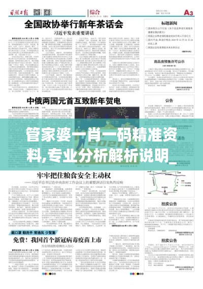 管家婆一肖一码精准资料,专业分析解析说明_专业款16.421