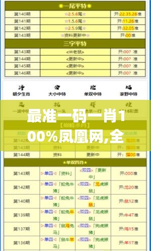 最准一码一肖100%凤凰网,全面执行计划数据_S7.638