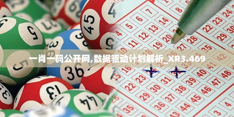 一肖一码公开网,数据驱动计划解析_XR3.469