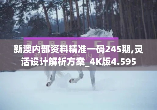 新澳内部资料精准一码245期,灵活设计解析方案_4K版4.595