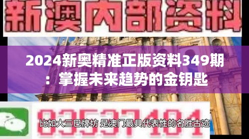 2024新奥精准正版资料349期：掌握未来趋势的金钥匙