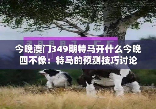 今晚澳门349期特马开什么今晚四不像：特马的预测技巧讨论