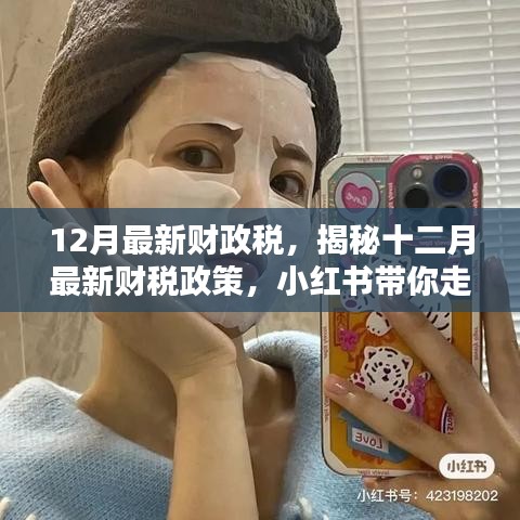 揭秘十二月最新财税政策，小红书带你探索财税新世界