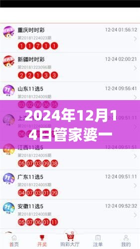 2024年12月14日管家婆一码一肖100准：解密背后的玄机