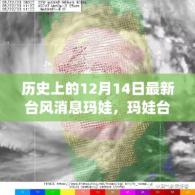 科技巨擘智能预警系统助力应对台风玛娃来袭，生活变革再升级