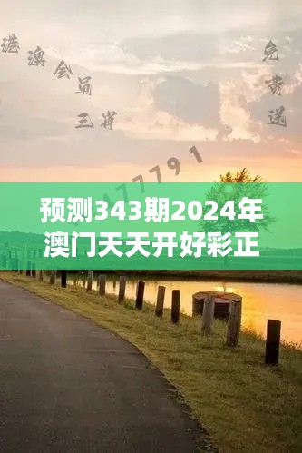 预测343期2024年澳门天天开好彩正版资料：提升中奖几率的新技巧