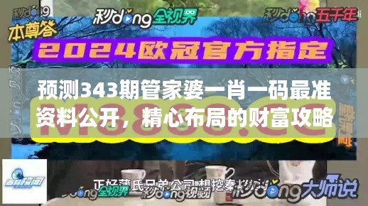 预测343期管家婆一肖一码最准资料公开，精心布局的财富攻略