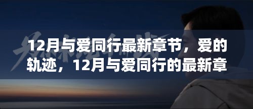 12月与爱同行，深度解读爱的轨迹最新章节