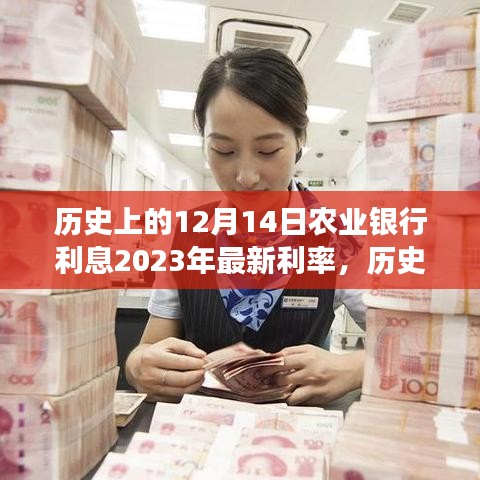 农业银行利率变迁轨迹回望，历史脚步与时代脉搏下的最新利率解读（XXXX年12月14日观察）