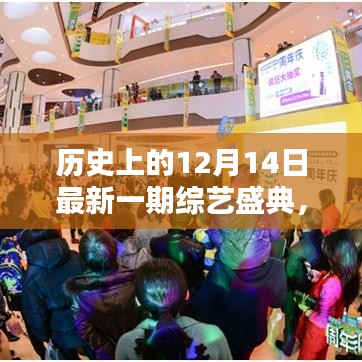 历史上的12月14日综艺盛典，全面评测与详细介绍
