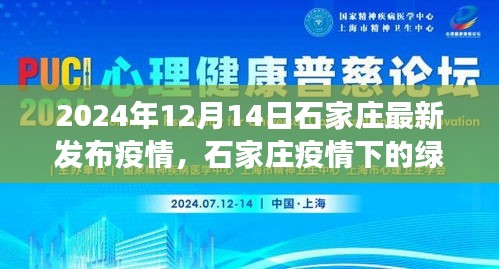 石家庄疫情下的绿色避风港，自然探索之旅的鼓舞