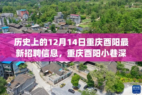 揭秘重庆酉阳小巷深处的招聘故事，历史招聘信息与特色小店背后的独特故事（独家报道）