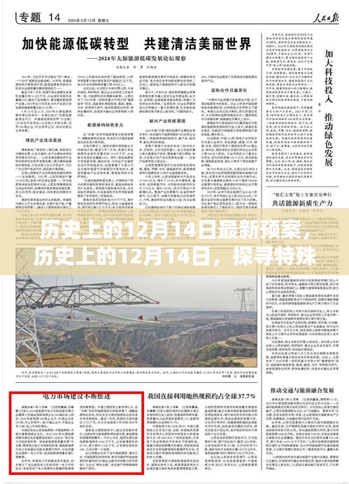 历史上的特殊日子，探寻12月14日的最新预案与故事