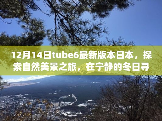 探索自然美景之旅，Tube6最新日本版带你领略冬日宁静与内心平和的喜悦