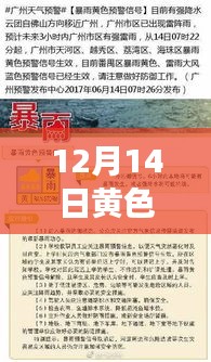 广州黄色预警下的自然探险之旅，寻找内心平静的奇妙旅程