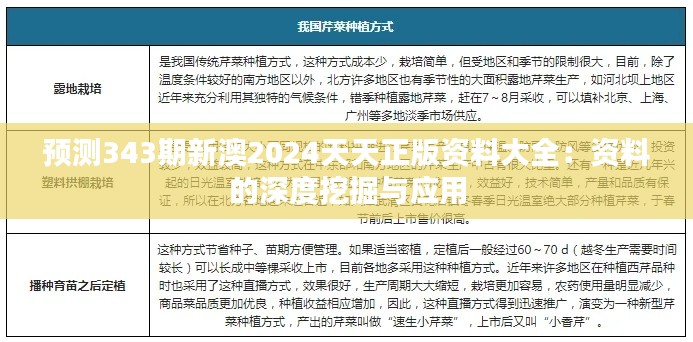预测343期新澳2024天天正版资料大全：资料的深度挖掘与应用