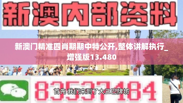 新澳门精准四肖期期中特公开,整体讲解执行_增强版13.480