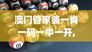 澳门管家婆一肖一码一中一开,探索与揭秘_薄荷版10.540