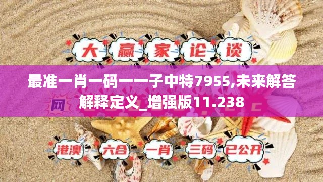 最准一肖一码一一子中特7955,未来解答解释定义_增强版11.238