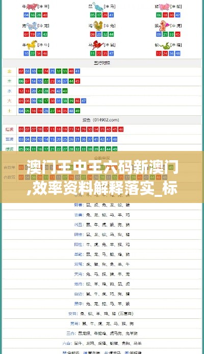澳门王中王六码新澳门,效率资料解释落实_标配版2.607